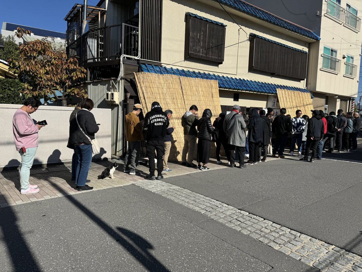 2galsoul's tweet photo. 長野旅行行って上田で昼飯探してたらめっちゃ人並んでる店あって、、、、

猫も並んでた、、、 https://t.co/wbXMm4P2Ul