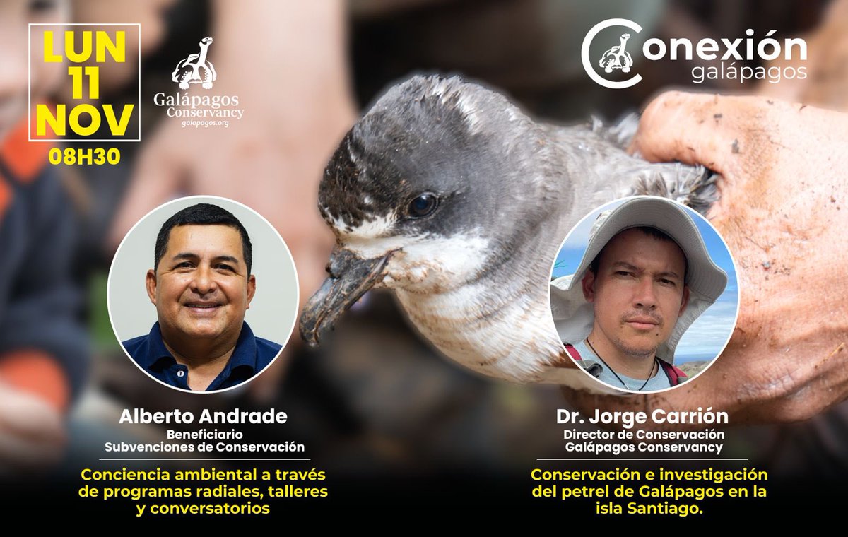 Acompáñenos este lunes en un nuevo  episodio de #ConexiónGalápagos. Descubra historias de conservación que buscan el bienestar de Galápagos y su gente. Le esperamos!