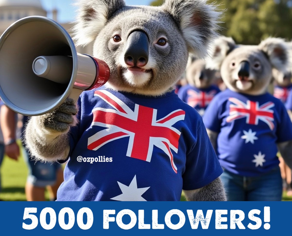 OzPollies's tweet photo. 5K Followers - True Blue! 🇦🇺🔥
Massive thanks 👍 to everyone for backing @Ozpollies Each like, share, and follow amplifies our collective voice and spreads our message wider.
#Albo #Auspol24
#Trueblue #AussieVoice https://t.co/AArvgidqvt