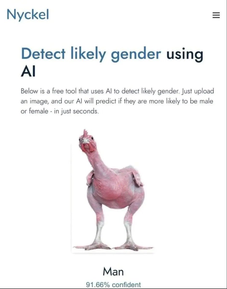 equine__dentist's tweet photo. gender is a spectrum https://t.co/x5YVMmtVzM