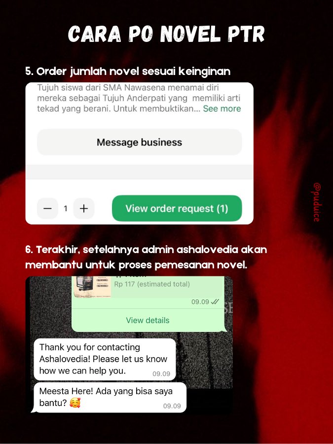 — cara PO novel PTR :