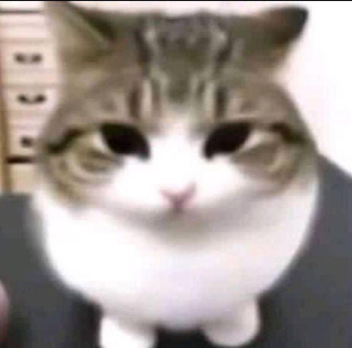 // hihi im off work and i wanna write and plot to bring up my mood pls </3