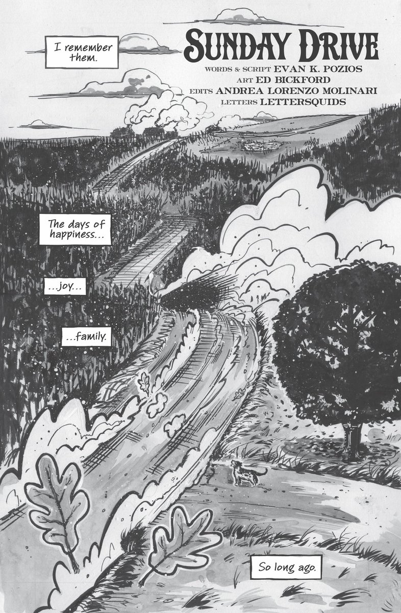 A story of vengeance. 

A tale of regret. 

Each terrifying, in their own unique manner.

SKINLESS &amp; BONELESS 
Art by <a href="/stcardoselli/">Stefano Cardoselli</a> 

SUNDAY DRIVE 
Art by <a href="/EdwinBickford/">Ed Bickford III</a> 

HARVEST OF HORRORS 4

#indie #comics #horror 

Cover art by David Hartman 

#Amazon

<a href="/LetterSquids/">Justin [LetterSquids] Comic Lettering & Design</a>