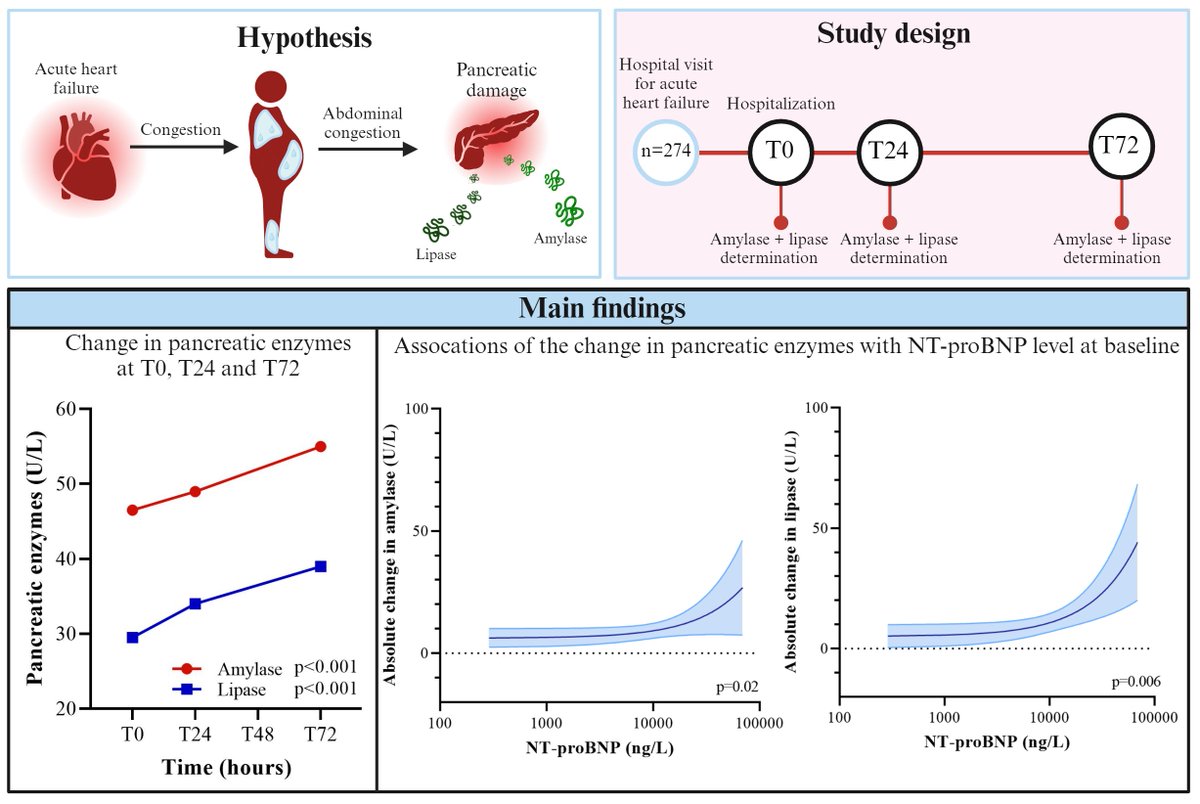 Our departement demonstrated that patients admitted with acute heart failure exhibit a significant rise in pancreatic enzymes during hospital admission, which marks the presence of pancreatic damage in these patients. Full article at: shorturl.at/ZJRVM #hf #pancreas