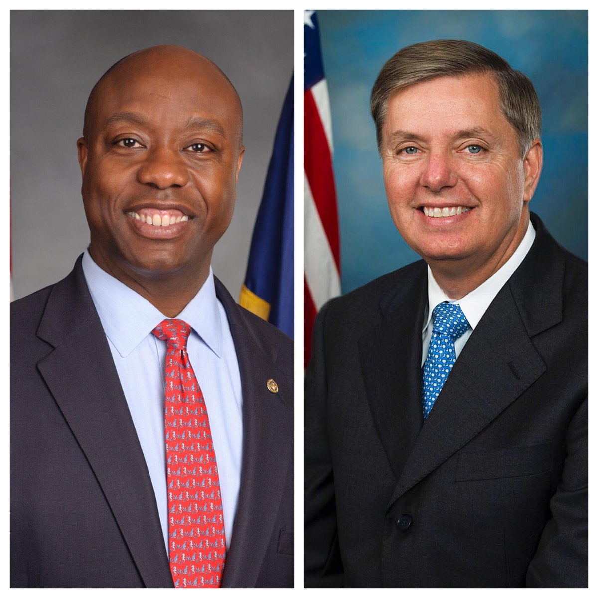 Both South Carolina Senators Tim Scott and Lindsey Graham are reportedly both voting against MAGA's choice of Rick Scott (FL) for Senate Majority Leader.