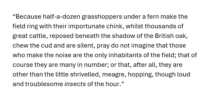 Adrian Hilton tweet media