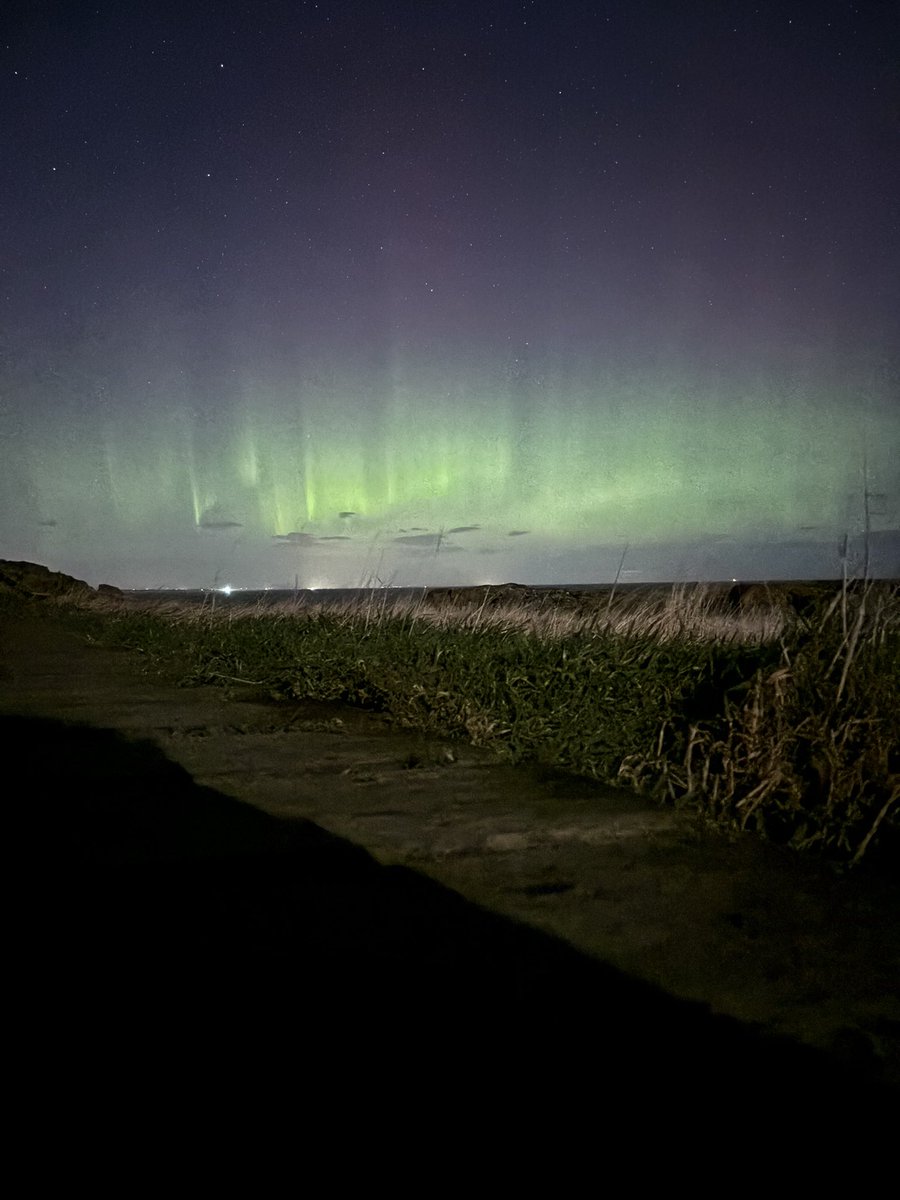 Kathryn Else tweet media