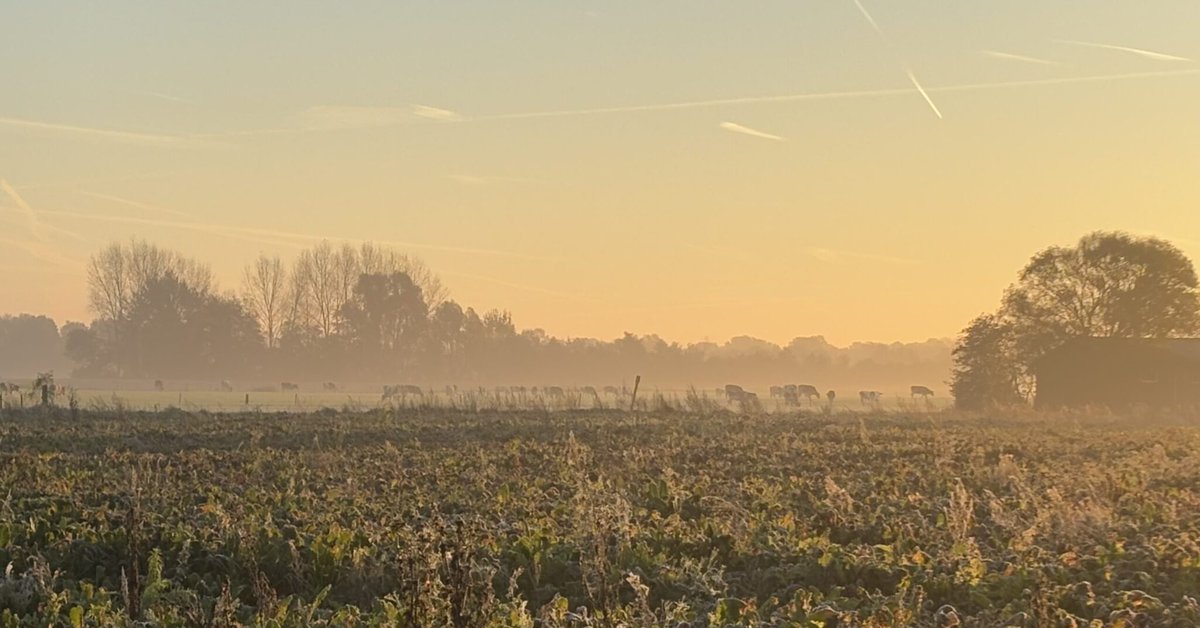 'Vanuit de #natuur geredeneerd is het belangrijker dát er een reductie komt, dan dat we exact kunnen vaststellen hoe groot die is.' Wim de Vries, hoogleraar op het gebied van milieusysteemanalyse, in deel 6 van onze #stikstof-serie. resource-online.nl/index.php/2024…