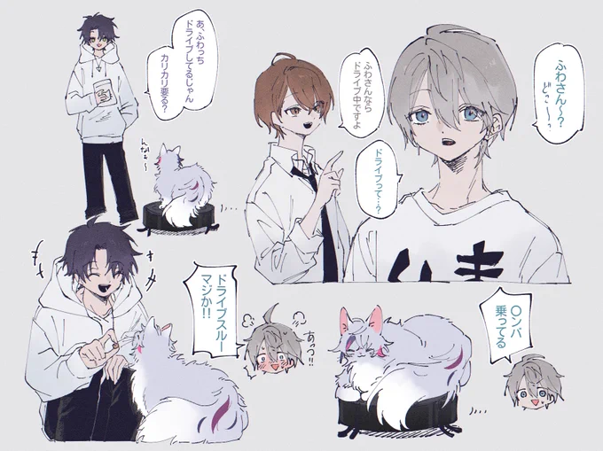 🐈🐈🐈 