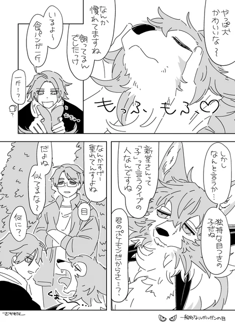 プヨのルガルガン(保存データ名) 