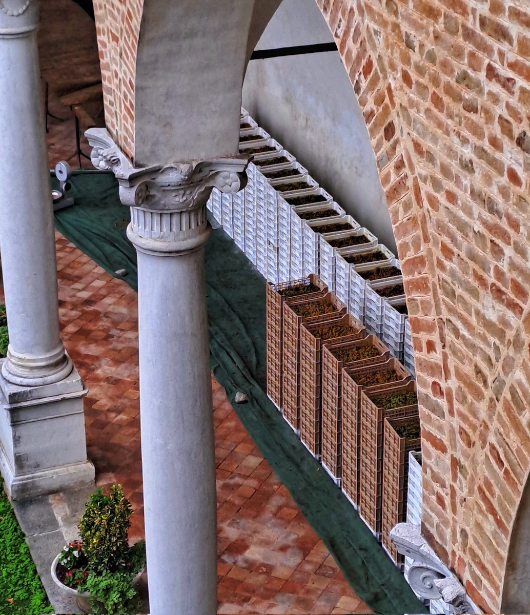 Il mosto è pronto per diventare vino. Il tempo fa divenire tutte le cose. Come scriveva Carlo Molari solo l'evoluzione può spiegare la complessità della realtà e il mistero di Dio. 
📷 mia, abbazia di Praglia
#sanmartino