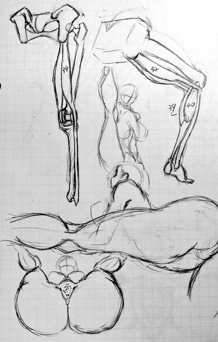 仕事おわー帰宅
疲れた…… 