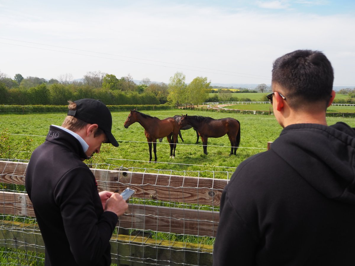 Stephen R Power (@racingblogger) on Twitter photo ๐ท IF HARRY SKELTON Rides A Double on ASTA LA PASTA & GETAWHISKY for Dan Skelton at Carlise Today: ๐
I'll give ยฃ100 Cash to One of YOU Lucky People! ๐ป ๐ท
To Enter: ๐
1๏ธโฃ RT This Tweet
2๏ธโฃ Like This Tweet
3๏ธโฃ Follow <a href="/racingblogger/">Stephen R Power</a>
GOOD LUCK EVERYONE ๐
#Win #Horse #Sport ๐ท IF HARRY SKELTON Rides A Double on ASTA LA PASTA & GETAWHISKY for Dan Skelton at Carlise Today: ๐
I'll give ยฃ100 Cash to One of YOU Lucky People! ๐ป ๐ท
To Enter: ๐
1๏ธโฃ RT This Tweet
2๏ธโฃ Like This Tweet
3๏ธโฃ Follow <a href="/racingblogger/">Stephen R Power</a>
GOOD LUCK EVERYONE ๐
#Win #Horse #Sport