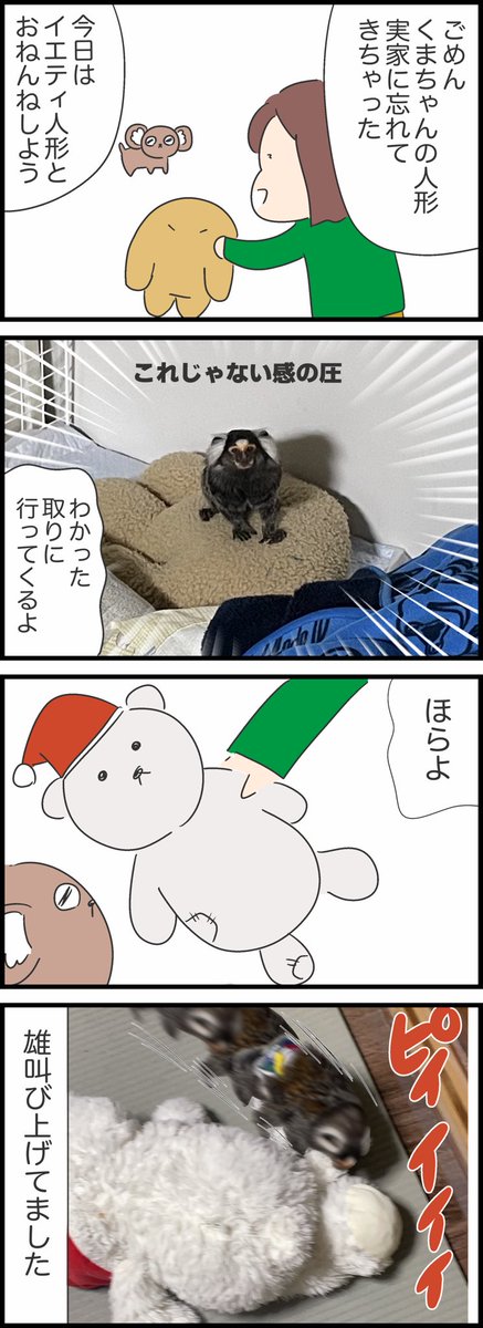 ペットのおサルのこだわり 
