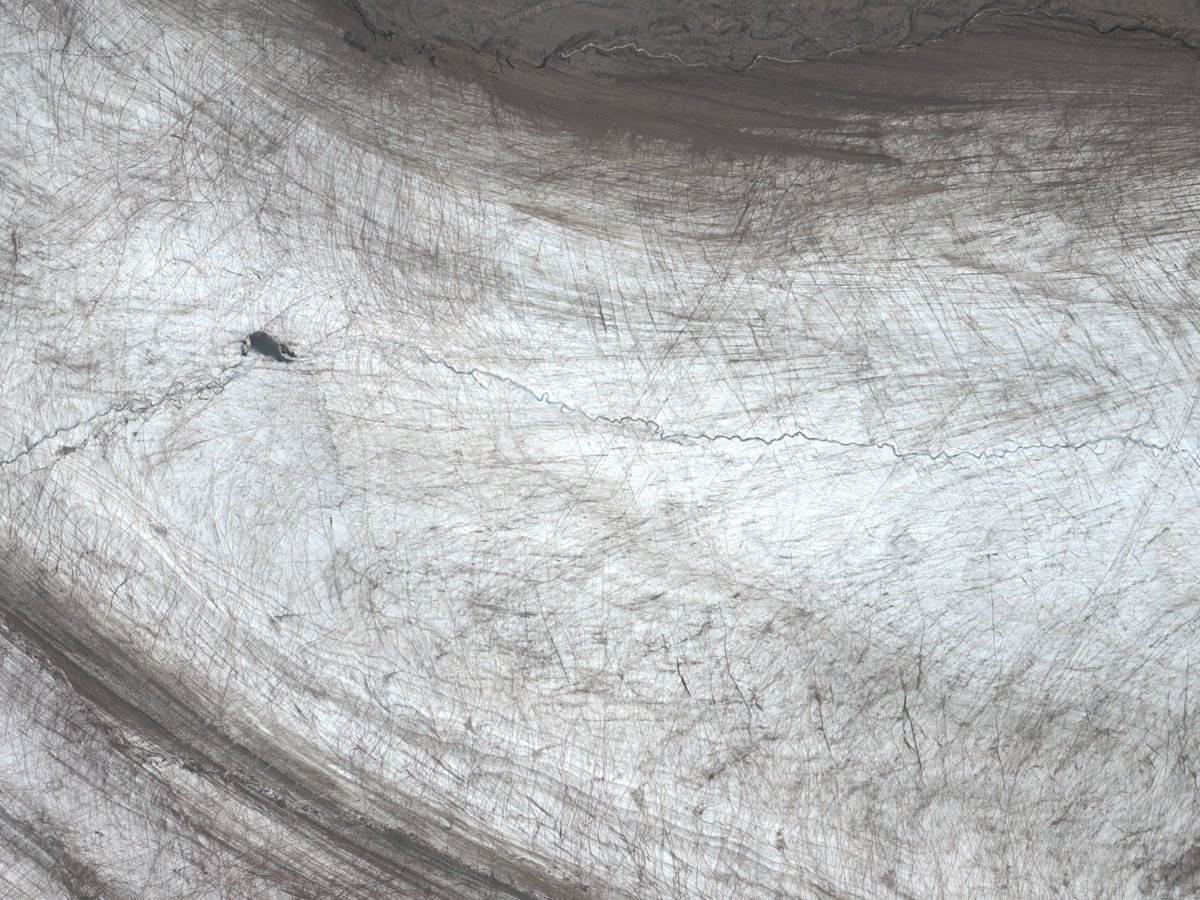 Biagio Di Mauro tweet media