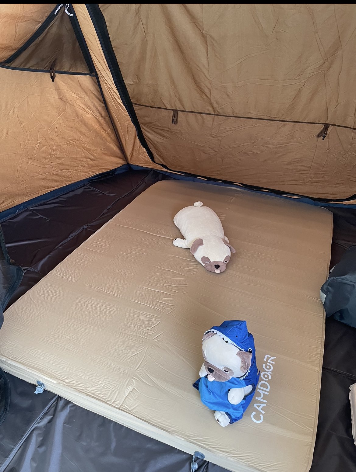 🏕ino camp🏕🔥 on X: 