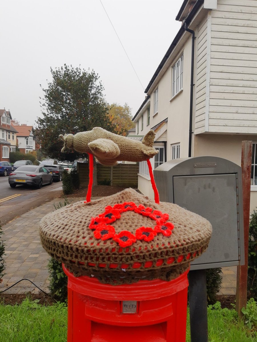Sawbridgeworth's post box - as ever a wonderful Remembrance tribute.

We will remember them.

#lestweforget2024
