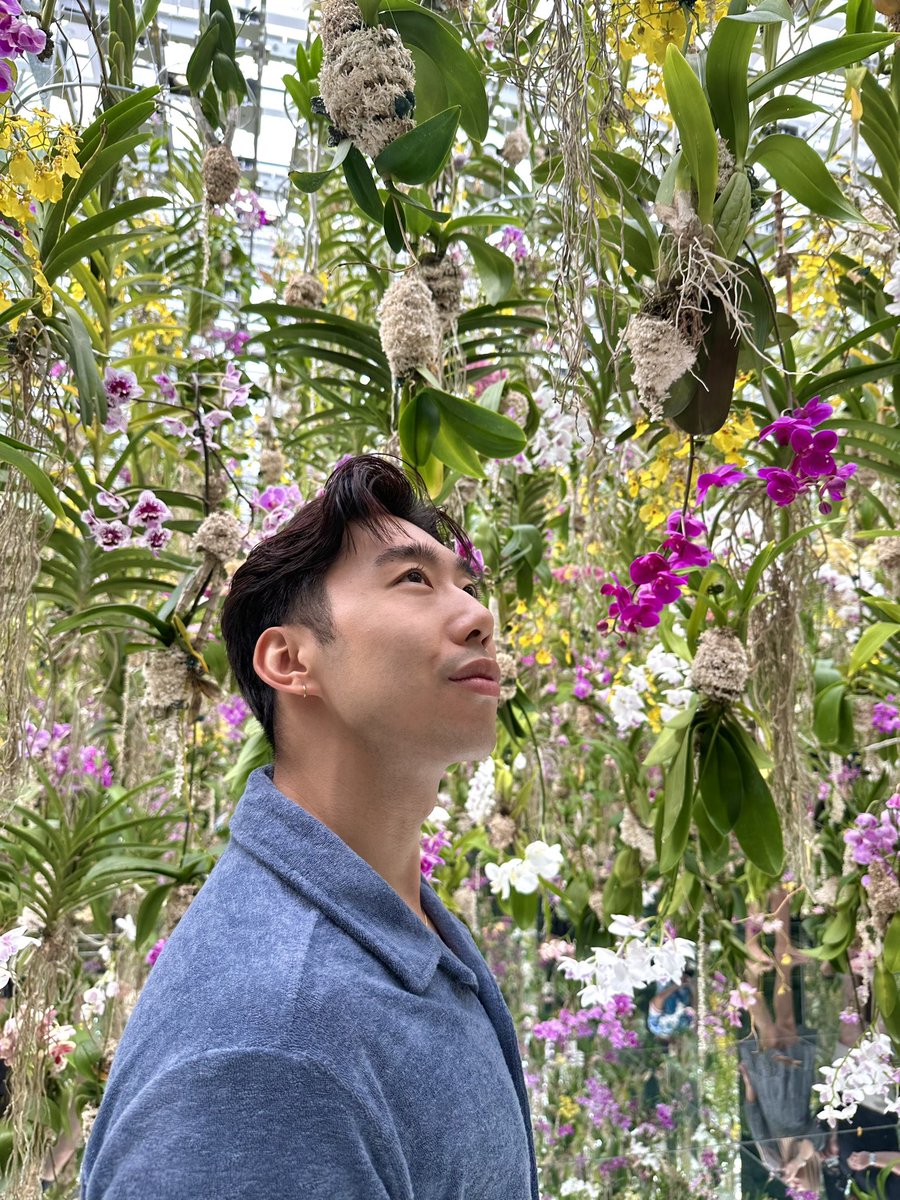 DorianQD's tweet photo. Forever a favorite art experience – TeamLab Tokyo was a feast for the senses ✨ https://t.co/MeDdfoyxuF