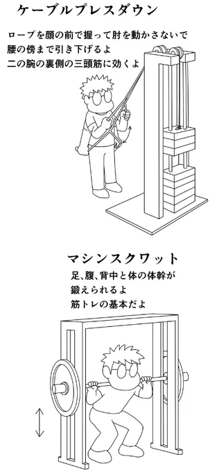 今日のトレ
路面が濡れていたので早朝ジョギングなし
ケーブルプレスダウン20k10,30k10x3
マシンスフルスクワット 60k10,80k10x3
トライセップエクステンション20k10x3,30k10x3
フルスクワット40k15,50k15,60k10
ケーブルクランチ前左右各30k10x3
70分
#筋トレ #ダイエット 