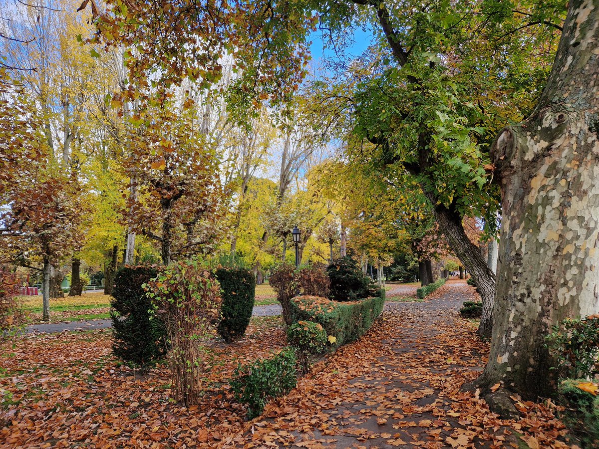 Infantasdeleon's tweet photo. Los colores del otoño en todo su esplendor en el parque de Quevedo de León 
#leonesp #photooftheday #otoño https://t.co/ReUuLrwCez