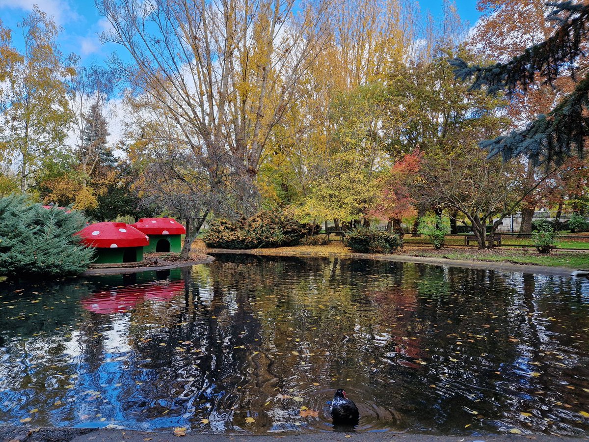 Los colores del otoño en todo su esplendor en el parque de Quevedo de León 
#leonesp #photooftheday #otoño