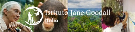 Jane Goodall Institute Italia tweet media