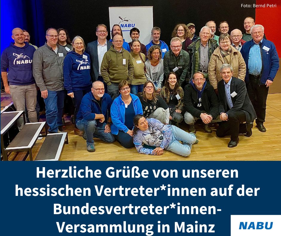 NABUHessen's tweet photo. Für wirksamen #Klimaschutz und eine starke #Zivilgesellschaft haben sich die rund 220 NABU-Delegierten aus dem gesamten Bundesgebiet auf der diesjährigen Bundesvertreterversammlung stark gemacht. Ein Bericht der BVV unter https://t.co/U93ixADyS4 https://t.co/RrLUzrZTiu