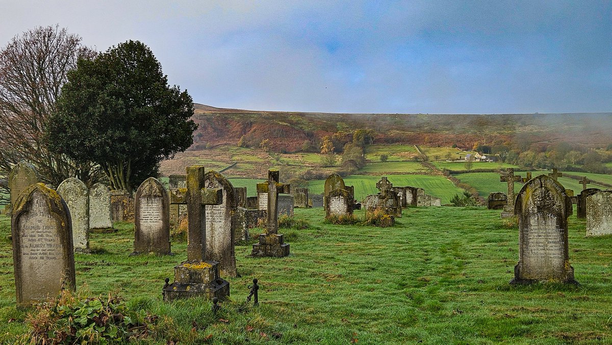 ColliesandCakes 🏴󠁧󠁢󠁳󠁣󠁴󠁿🦅 tweet media