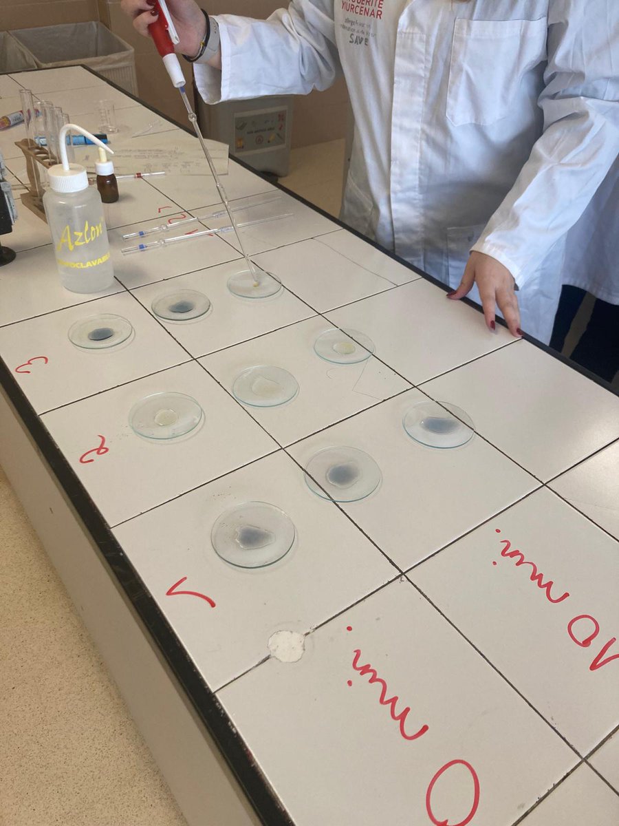 Lycée français international de Reus tweet media