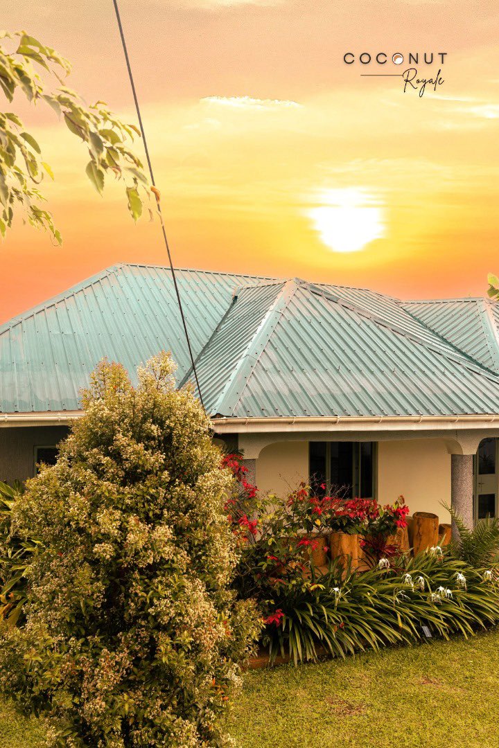 Sunrise state of mind! 🌅 

Ready to conquer the week ahead. 

#MondayMotivation #home #airbnb #outoftown