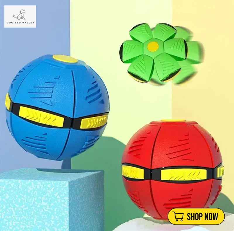 dogbedvalley's tweet photo. 🌠🚀 Is your dog ready for out-of-this-world fun? The Flying UFO Dog Toy transforms any play session into a cosmic adventure! Durable and engaging—perfect for active pups! What's your dog's favorite fetch toy? 

Shop Now: https://t.co/cVo1IqPt9D

#FlyingUFODogToy  #dogbedvalley https://t.co/8Z8Y0FEqTy