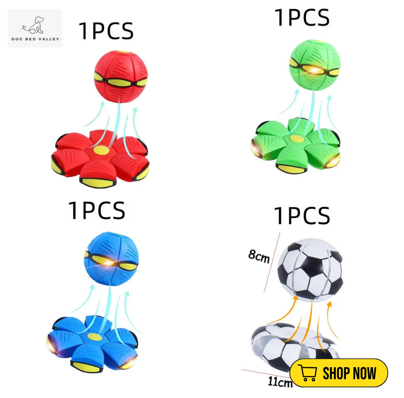 dogbedvalley's tweet photo. 🌠🚀 Is your dog ready for out-of-this-world fun? The Flying UFO Dog Toy transforms any play session into a cosmic adventure! Durable and engaging—perfect for active pups! What's your dog's favorite fetch toy? 

Shop Now: https://t.co/cVo1IqPt9D

#FlyingUFODogToy  #dogbedvalley https://t.co/8Z8Y0FEqTy