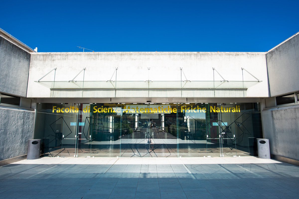 Daniele Mazzarella tweet media