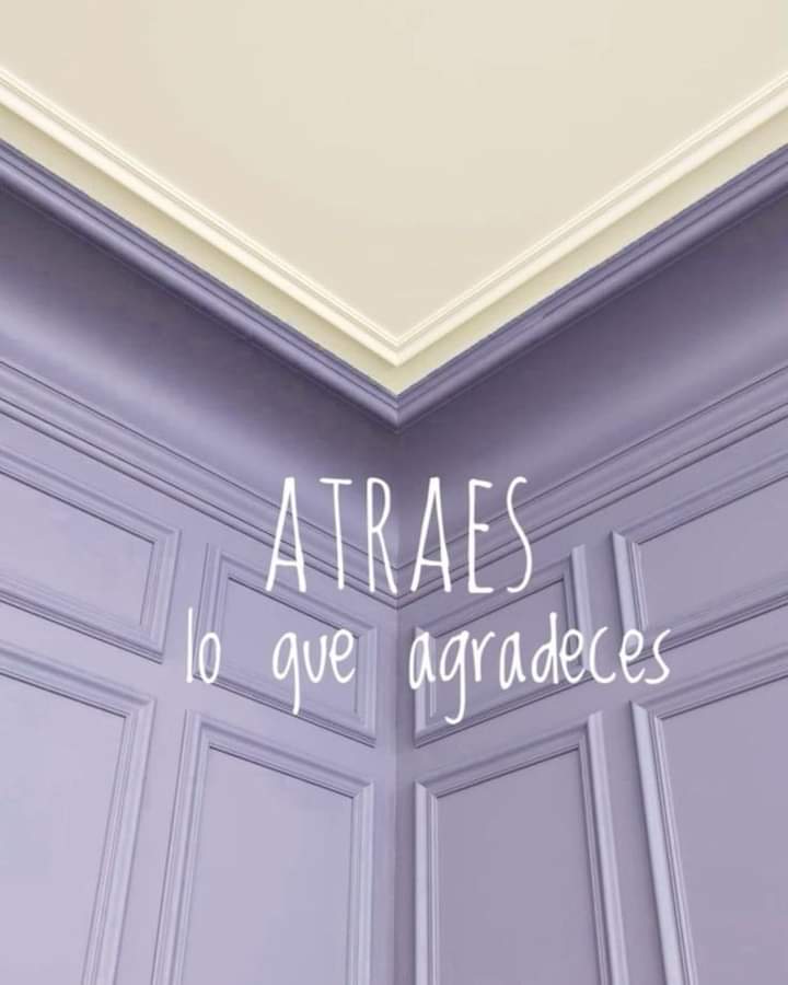 Atraes lo que agradeces. 🤍🙌🏼