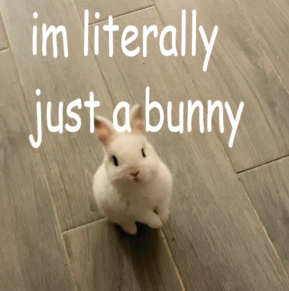 godday's tweet photo. @BunnyHop consider obtaining some $hopper https://t.co/9UiLOCoUus