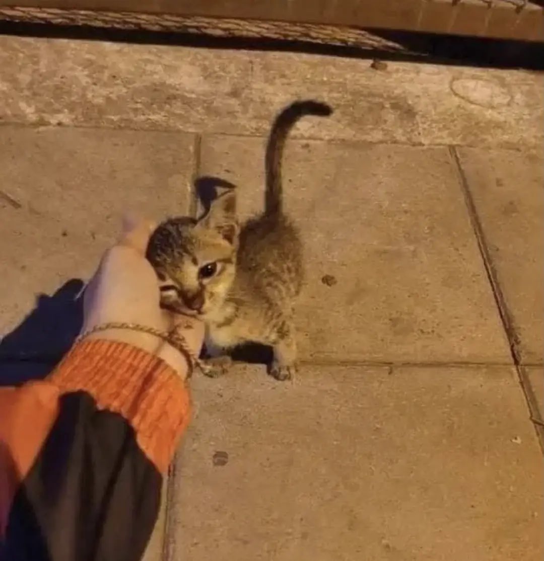 be nice with them, you have no idea what they have suffered on the streets