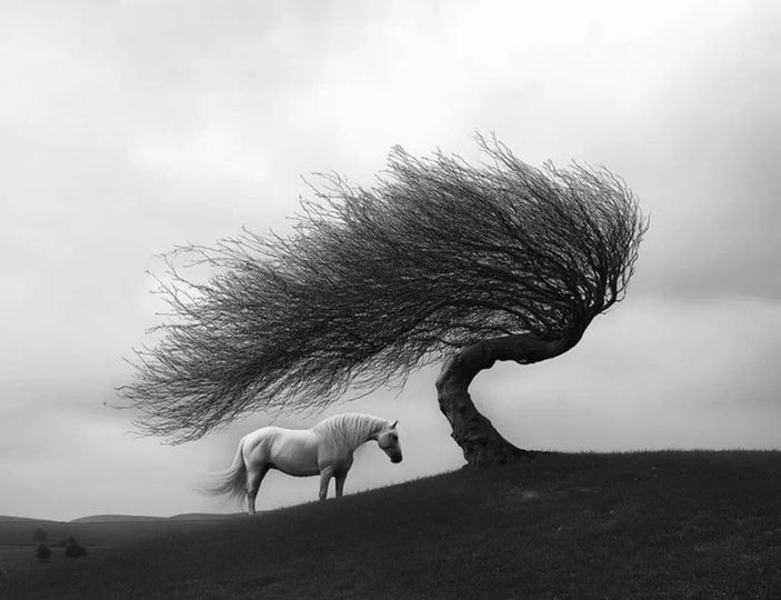 “Your soul will be pulled to the place it belongs.”
~ Author unknown

Image by Helena Georgiou