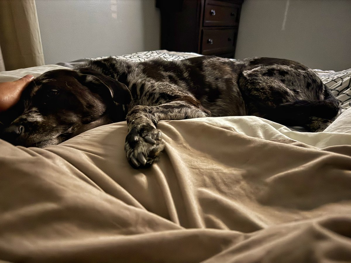 Can’t believe you’re 10 🥹 Love you Jax 🥰