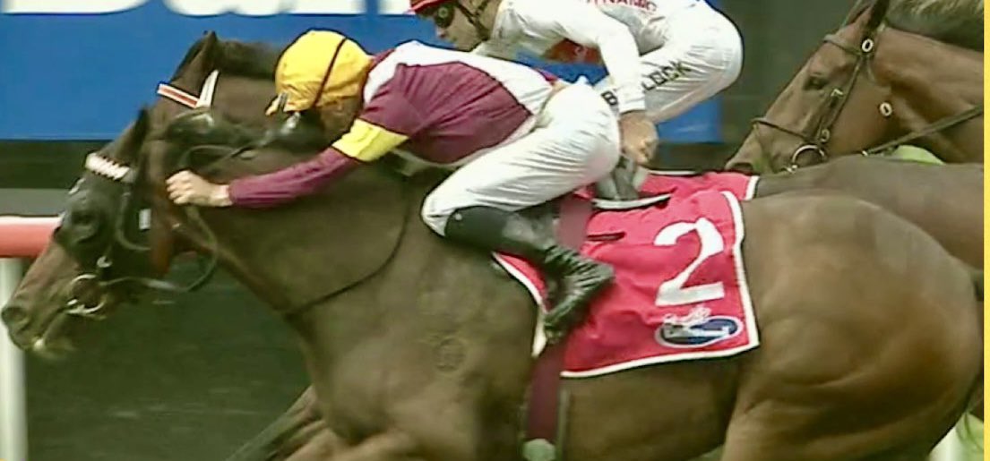 kimwaugh6's tweet image. Congrats to a very happy &amp;amp; patient group of owners including @francismystery @cissymarg celebrating the win of Sir Godric today with @jeanvovermeire aboard @sconeraceclub following a Year on the sidelines 👏👏
#welldoneteam #greateffort 💪👌👏👏