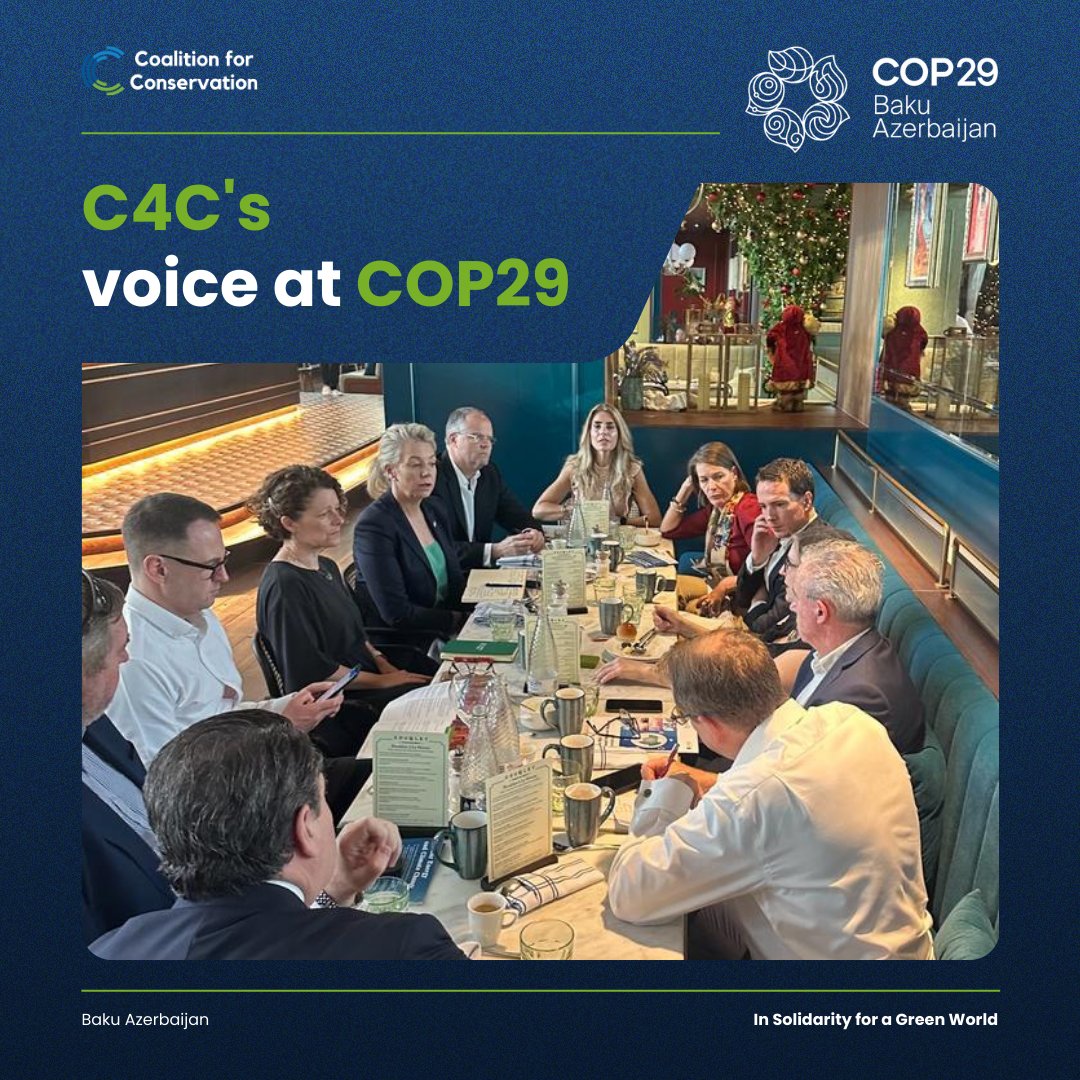 🗣️ C4C's voice at COP29: We're committed to amplifying conservative perspectives on climate action. Follow us for updates on our meetings, events, and collaborations with global partners. #ConservativeClimateAction #COP29 #Baku