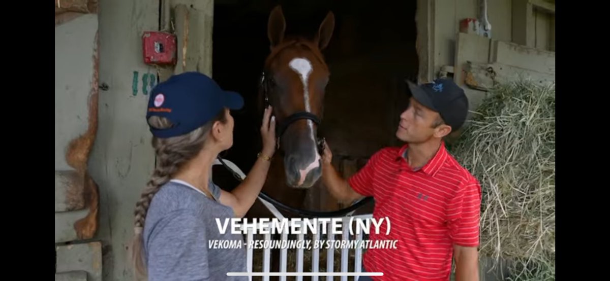 Congratulations to <a href="/mjsharp75_joe/">Joe Sharp / JSR Racing ⚪️🔴⚫️🏇🏻</a> for his 900th career win, which came in Saturday’s 10th race at Aqueduct Race track when Vehemente crossed the line 10 lengths in front of her competition.   Here’s to many many more Joe!!!! Thanks for the partnership!