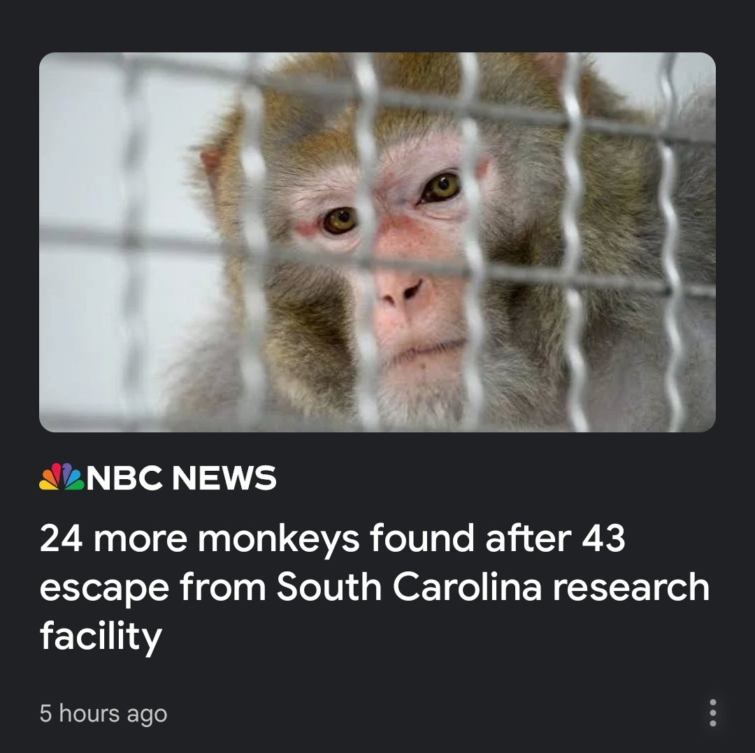 Jim Tobin, M.Ed. tweet media