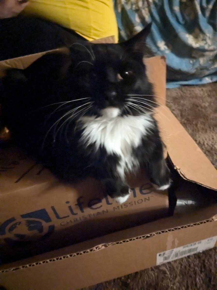 Graphic Vandalism tweet media