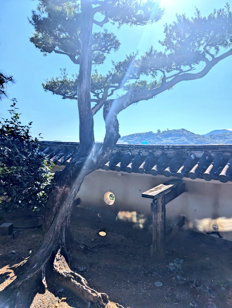 irie2102or's tweet photo. 高知城！
山内一豊公を堪能できました✨
狭間がまじで可愛すぎるよ🤦🤦🤦 https://t.co/8RZH5L0SUm