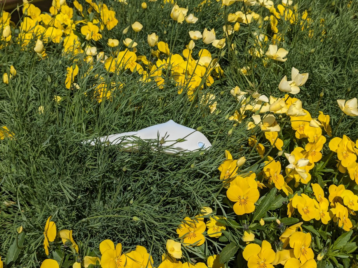 おさんぽガヴァドン (@roaminggavadon) on Twitter photo 