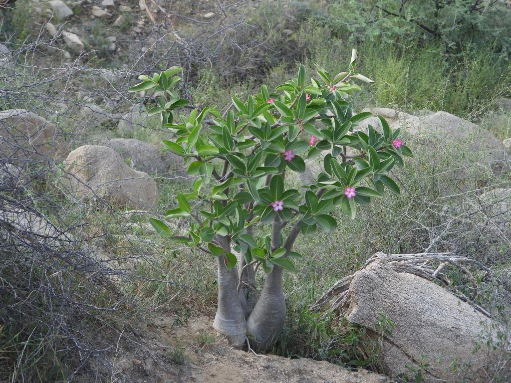 Photo by <a href="/abdmmoals8/">عبد الله محمد القرني</a>  #SaudiArabia