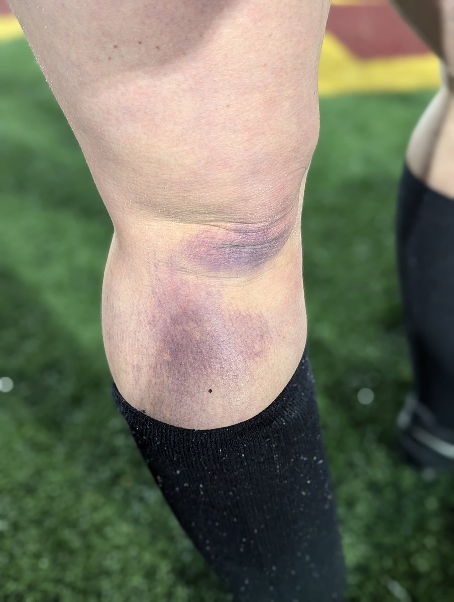 🌟Krystal & Dogs 🐶🌟 tweet media