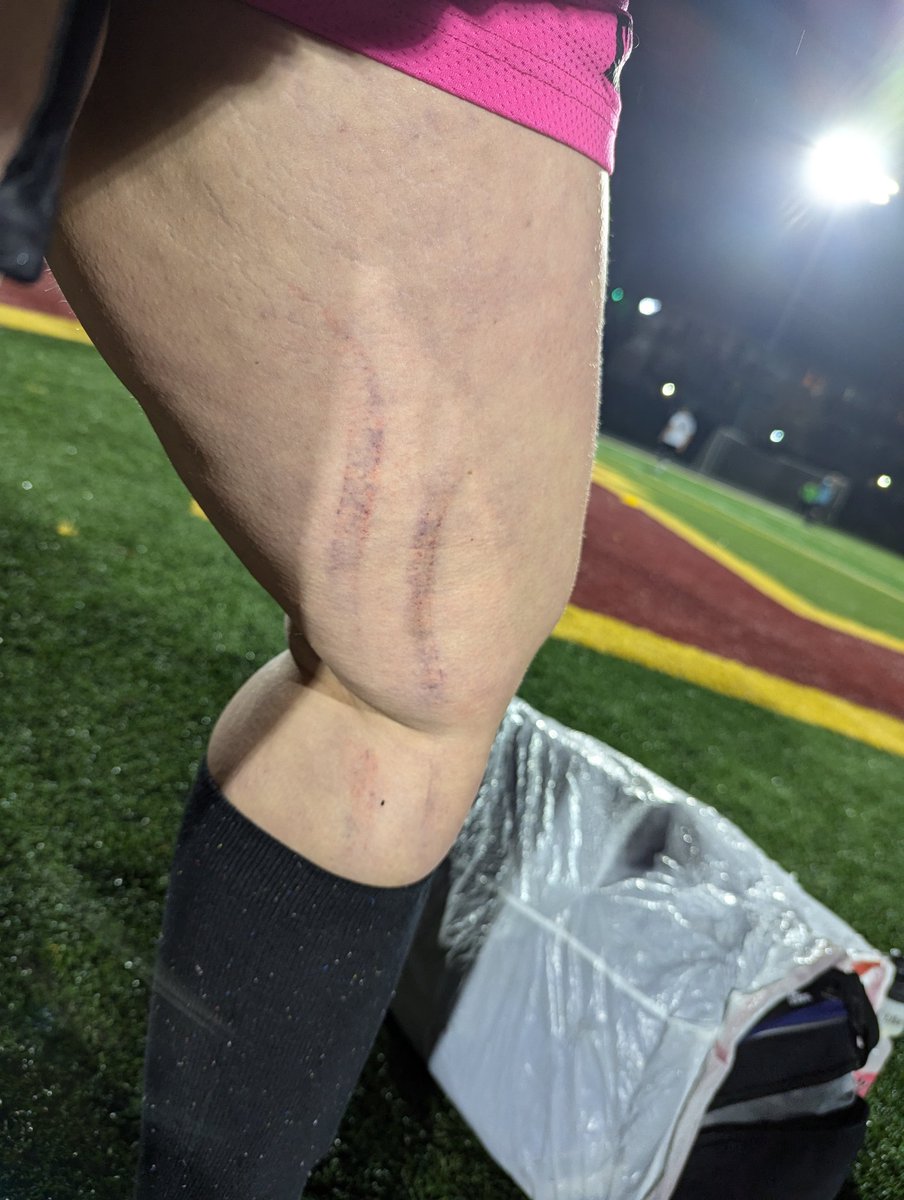 🌟Krystal & Dogs 🐶🌟 tweet media