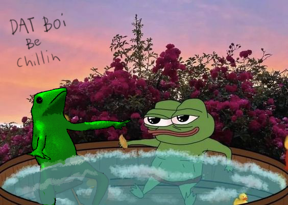 datboicto's tweet photo. It's a frog's world $datboi https://t.co/hEF8mOPsoM