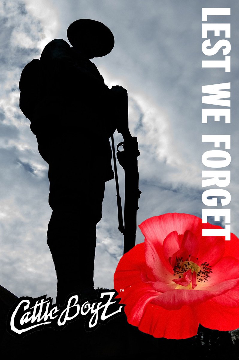 Respect to those who fought for our freedoms. #remember #remembranceday #peace #cattleboyz